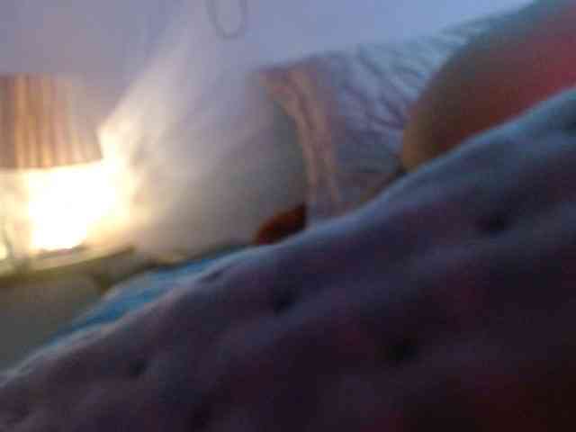 ANNYFOX webcam