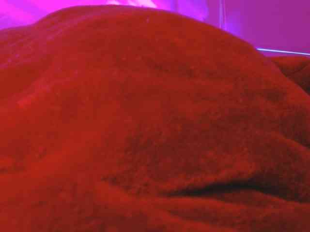 ANNYFOX webcam