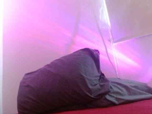 ANNYFOX webcam