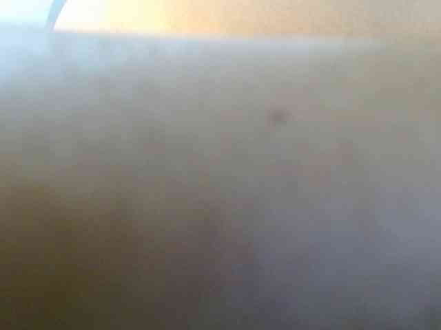 ANNYFOX webcam