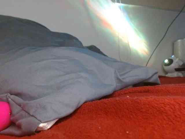 ANNYFOX webcam