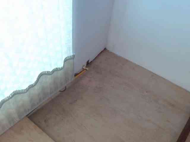 ANNYFOX webcam