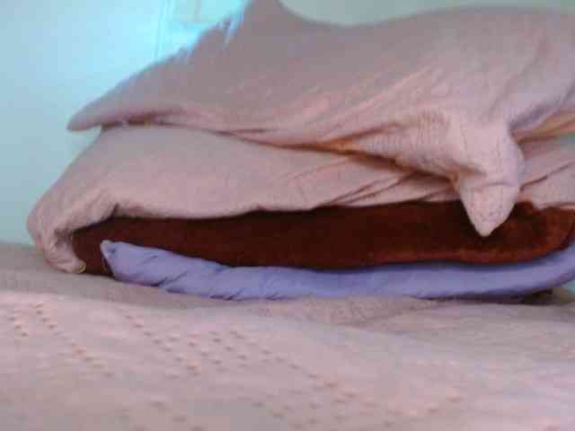 ANNYFOX webcam