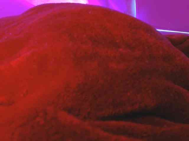 ANNYFOX webcam