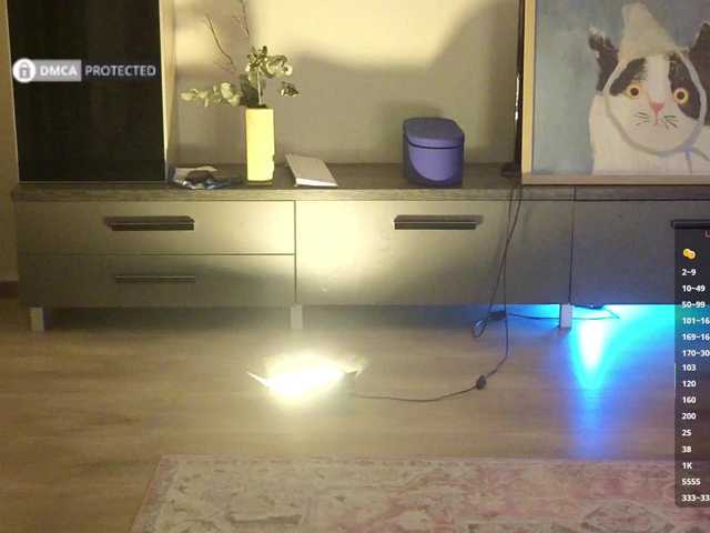 -Light-Fury- live cam