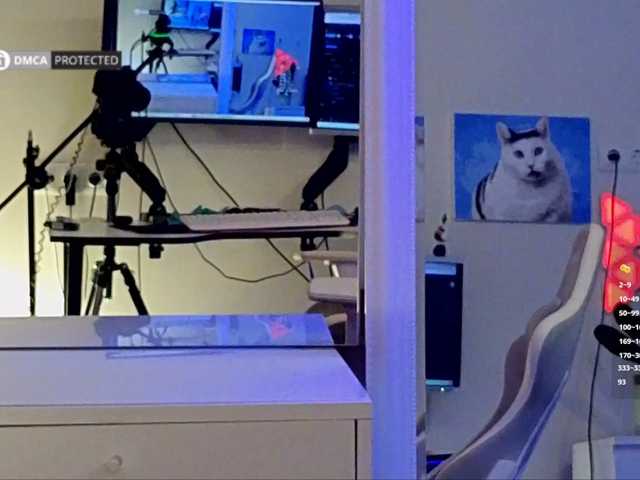 -Light-Fury- live cam on BongaCams