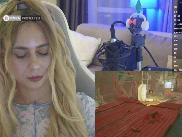 Well_ webcam