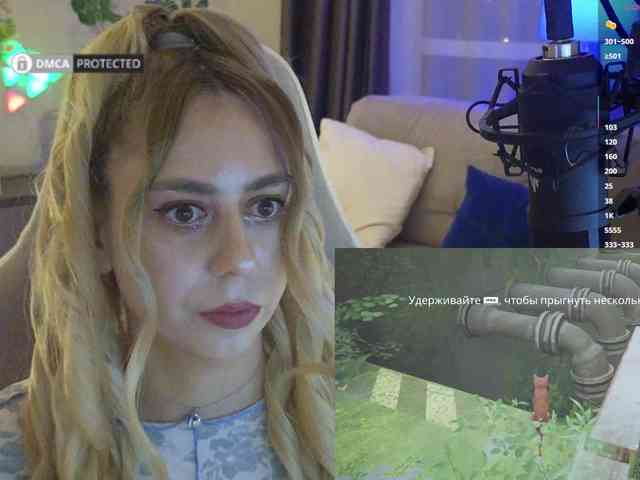 Well_ webcam