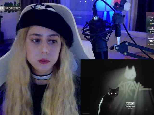 capuchina_v_taverne webcam