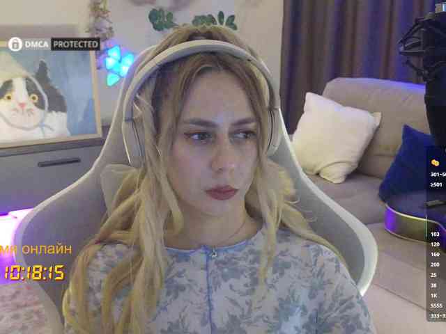 Well_ webcam