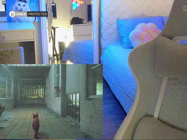 capuchina_v_taverne webcam
