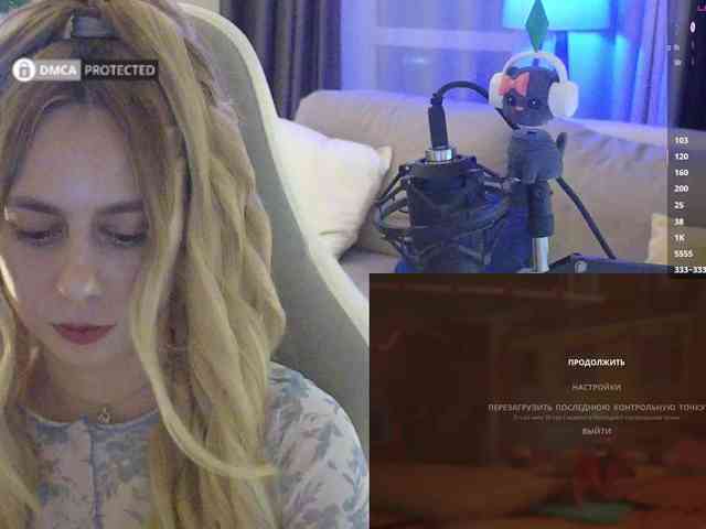 Well_ webcam