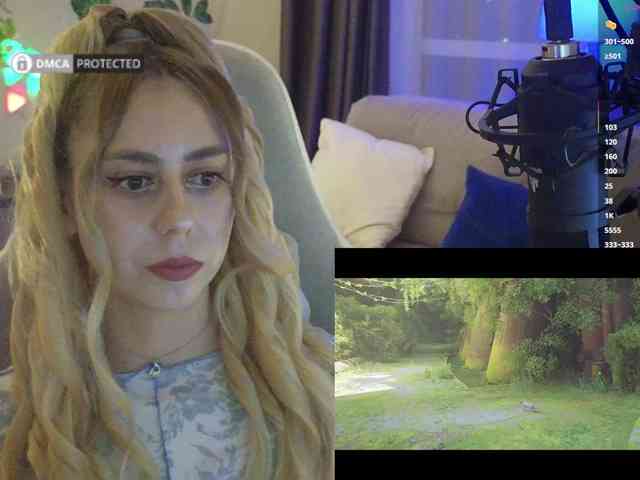 Well_ webcam