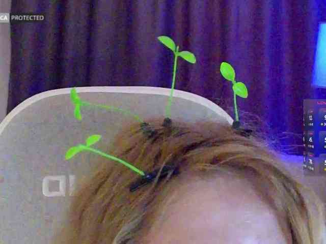 capuchina_v_taverne webcam