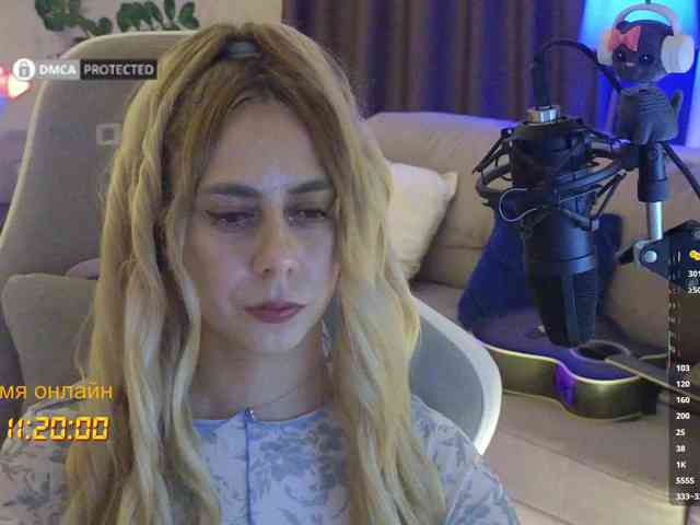 Well_ webcam