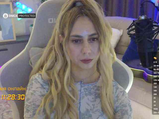 Well_ webcam