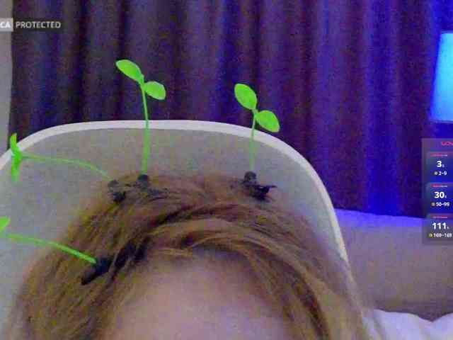 capuchina_v_taverne webcam