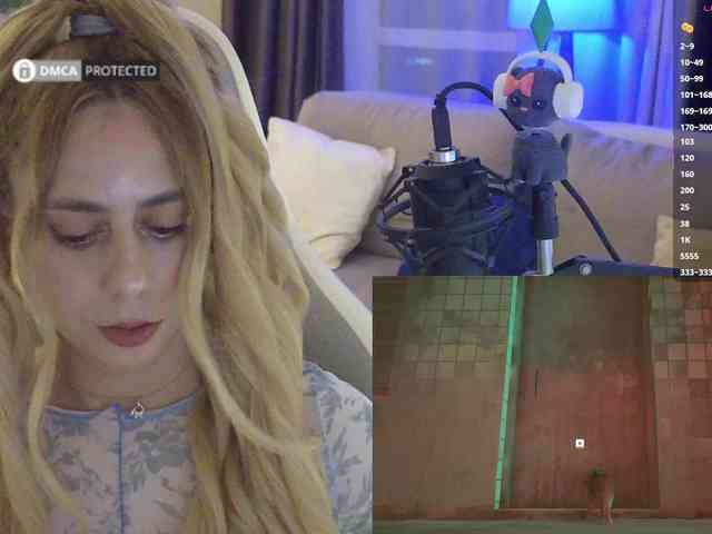 Well_ webcam