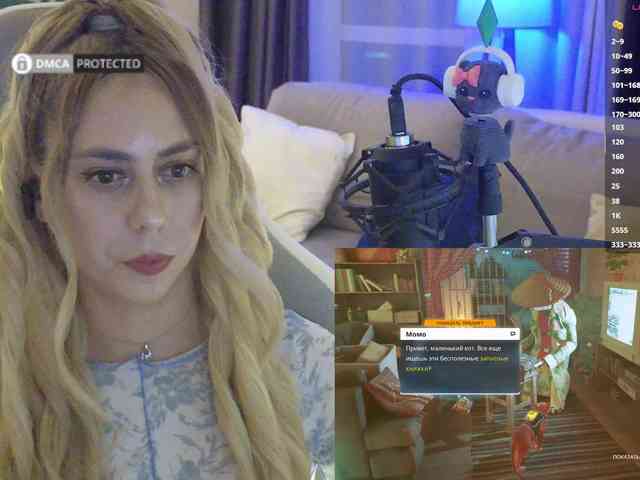 Well_ webcam