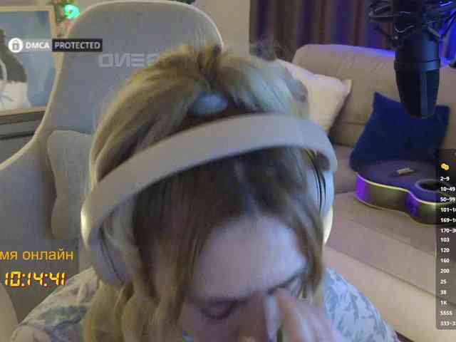 Well_ webcam