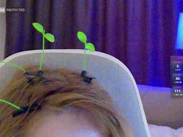 capuchina_v_taverne webcam