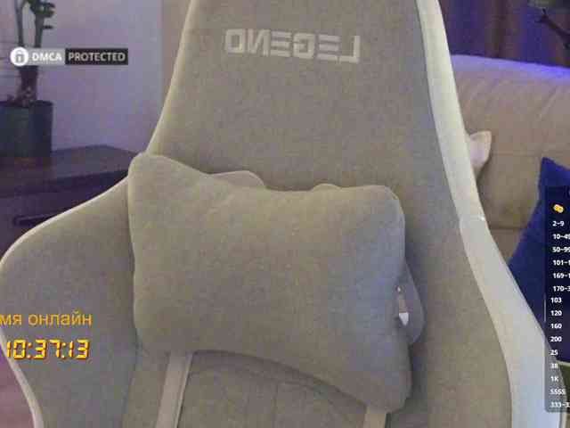 Well_ webcam