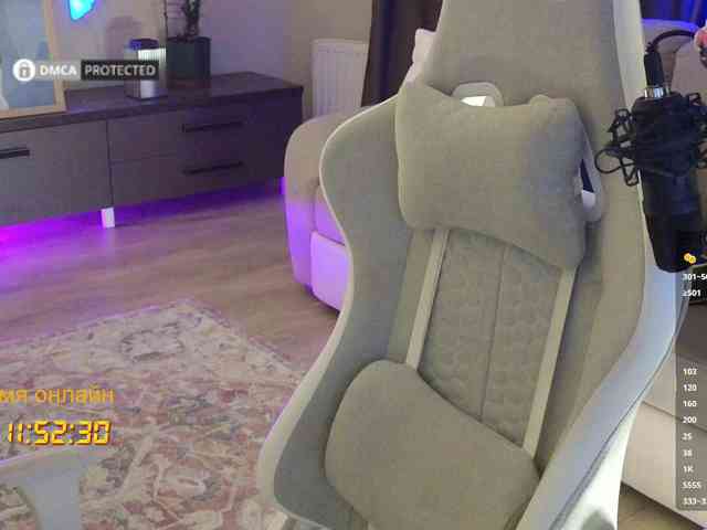 Well_ webcam
