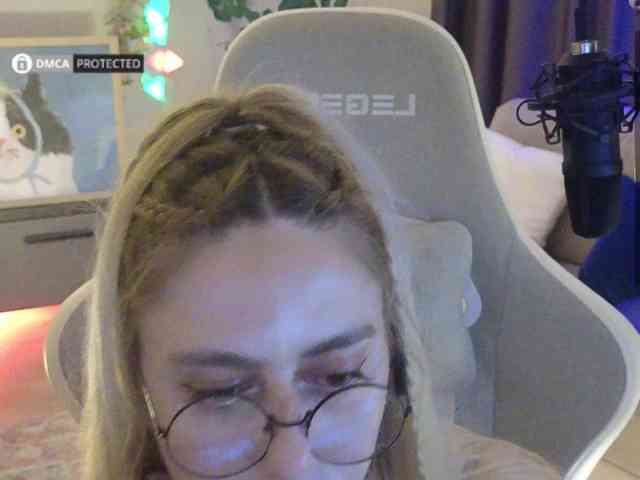 Well_ webcam