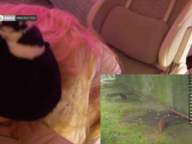 capuchina_v_taverne webcam