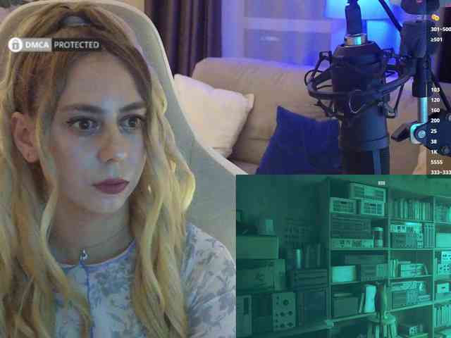 Well_ webcam