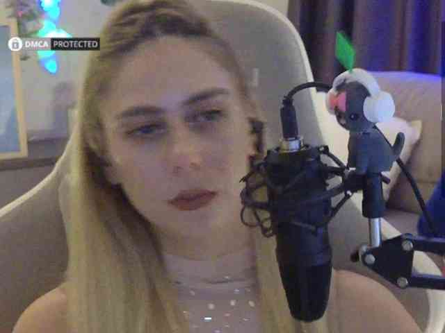 Well_ webcam