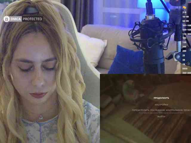 Well_ webcam