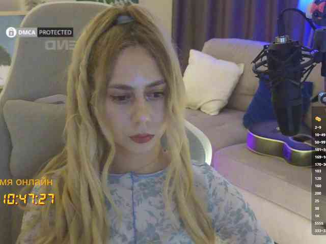 Well_ webcam