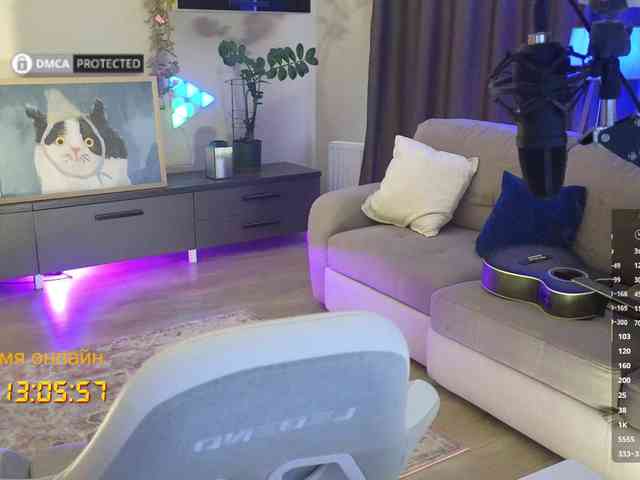 Well_ webcam