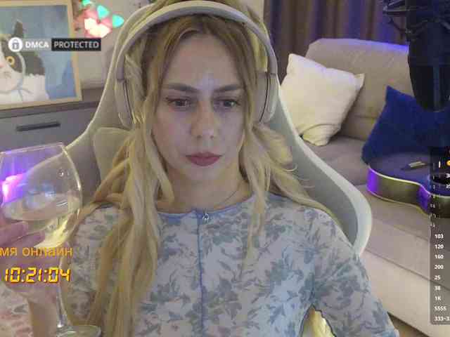 Well_ webcam