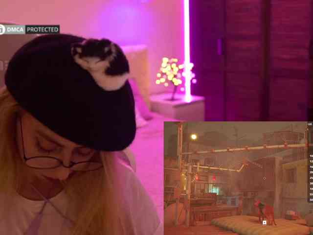 capuchina_v_taverne webcam