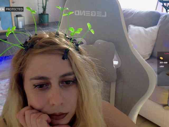 capuchina_v_taverne webcam