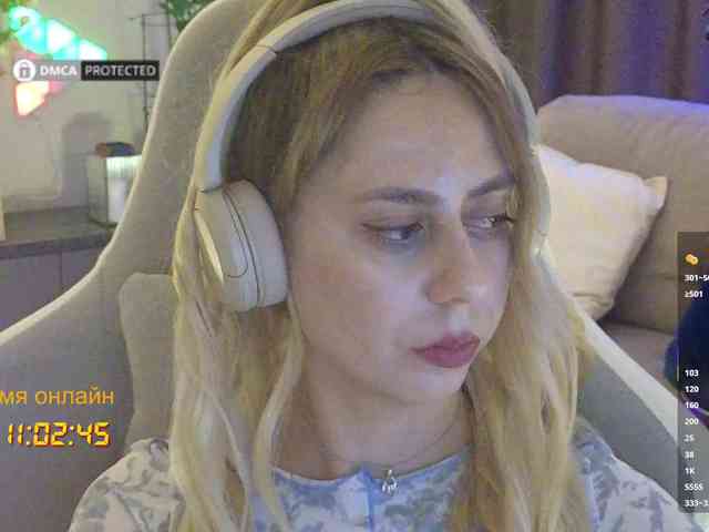 Well_ webcam