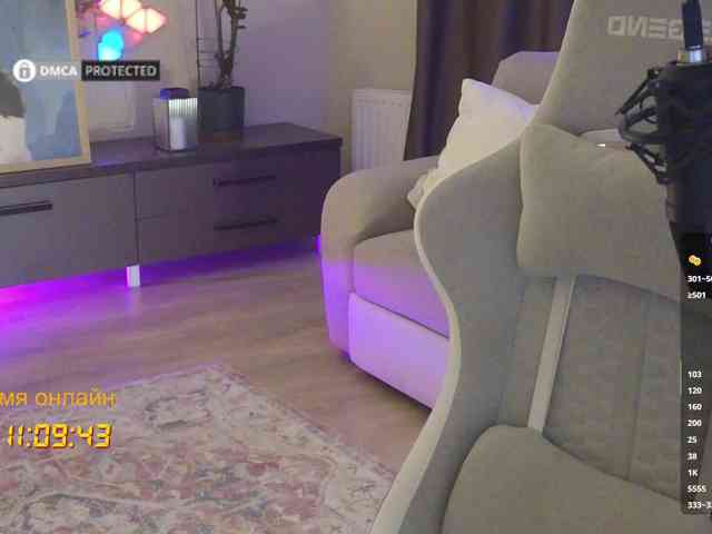 Well_ webcam