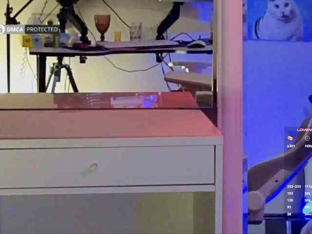 capuchina_v_taverne webcam