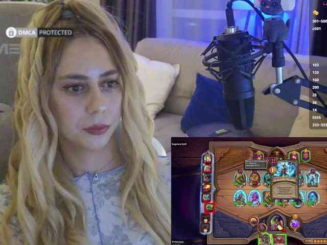 Well_ webcam