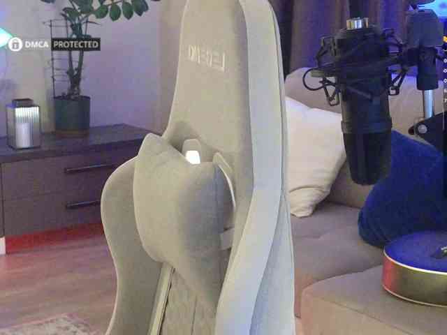 Well_ webcam