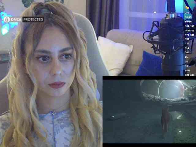 Well_ webcam
