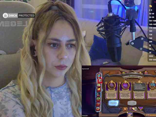 Well_ webcam