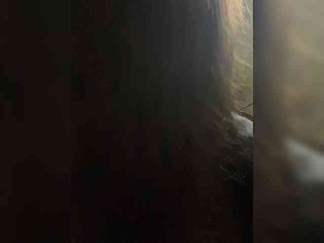 SweetyLiza webcam