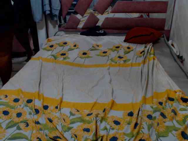 hannai webcam