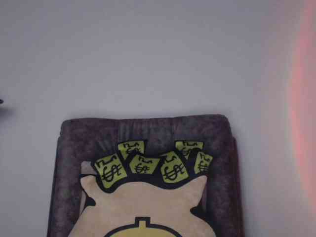 paramo1 webcam