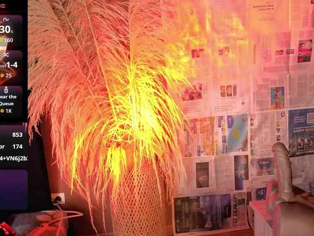 Модель: jacki-O