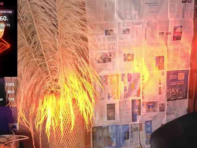 Модель: jacki-O