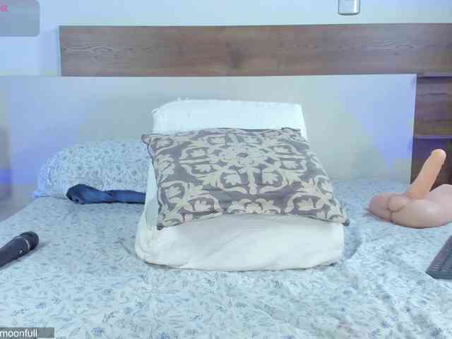 -fullmoon webcam